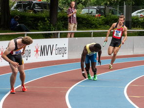 开云APP下载-体育产业发展与高校体育人才培养对接机制,我国体育人才的培养模式