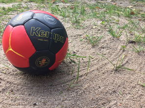 开云体育APP-国足比赛比赛状态分析,国足的比赛情况