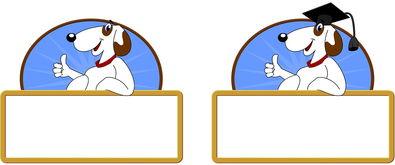 kaiyun-校园体育节活动对学生参与度的促进作用，学校体育节活动描述