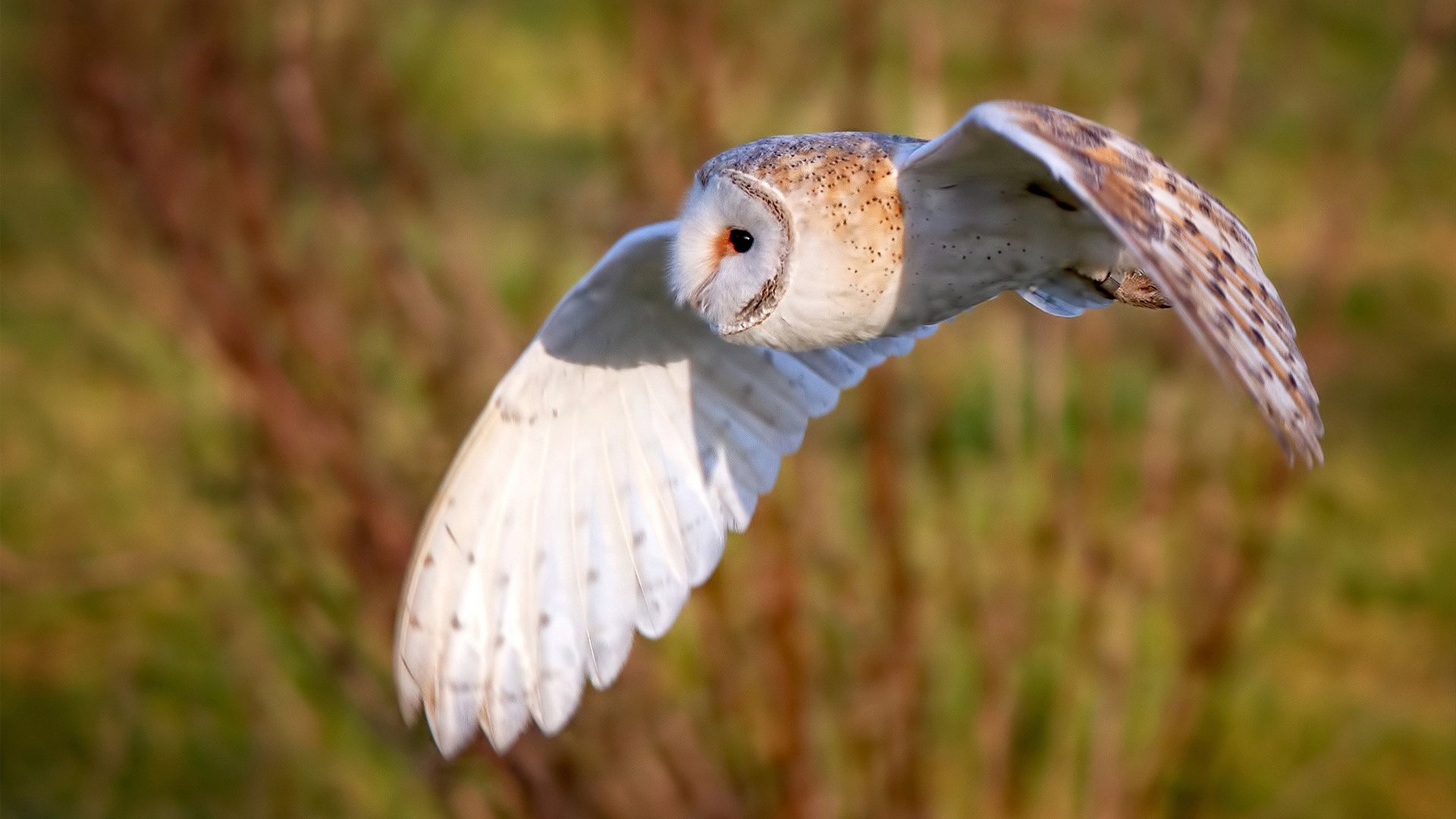 开云体育app安全下载-运动装备研发投入增加，运动装备研发投入增加多少