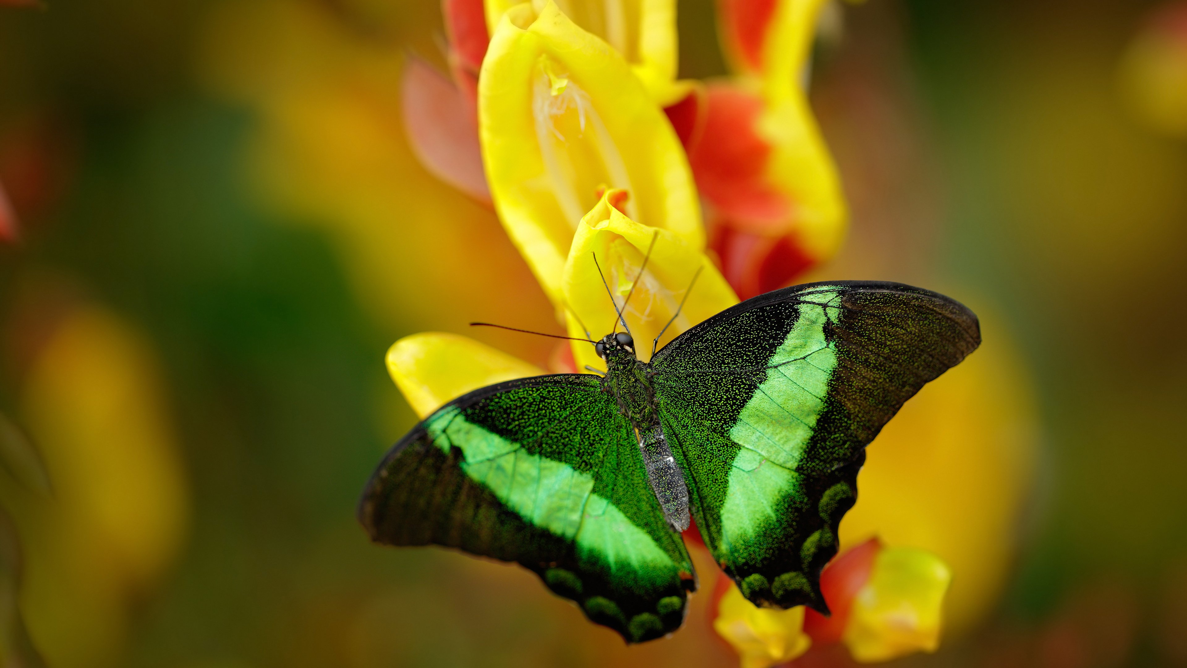 开云体育app安全下载-运动装备研发投入增加,运动装备研发投入增加多少