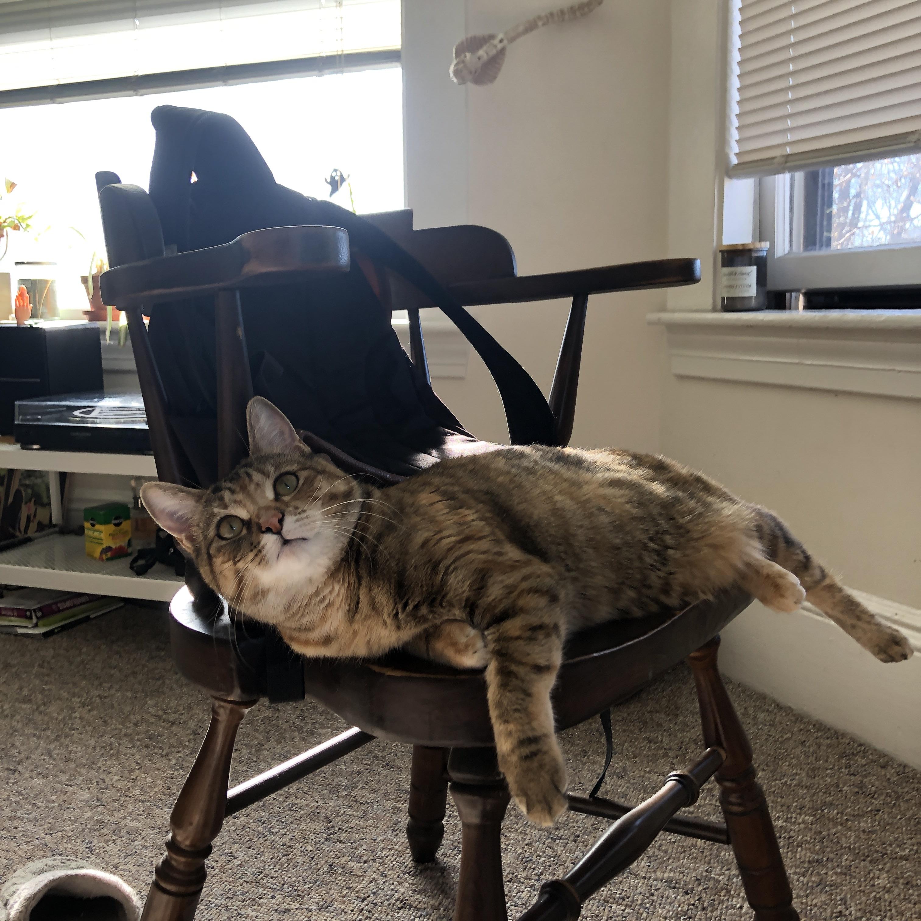 开云体育下载入口-国家男篮在封闭训练中强化默契配合,男篮国家集训队员名单